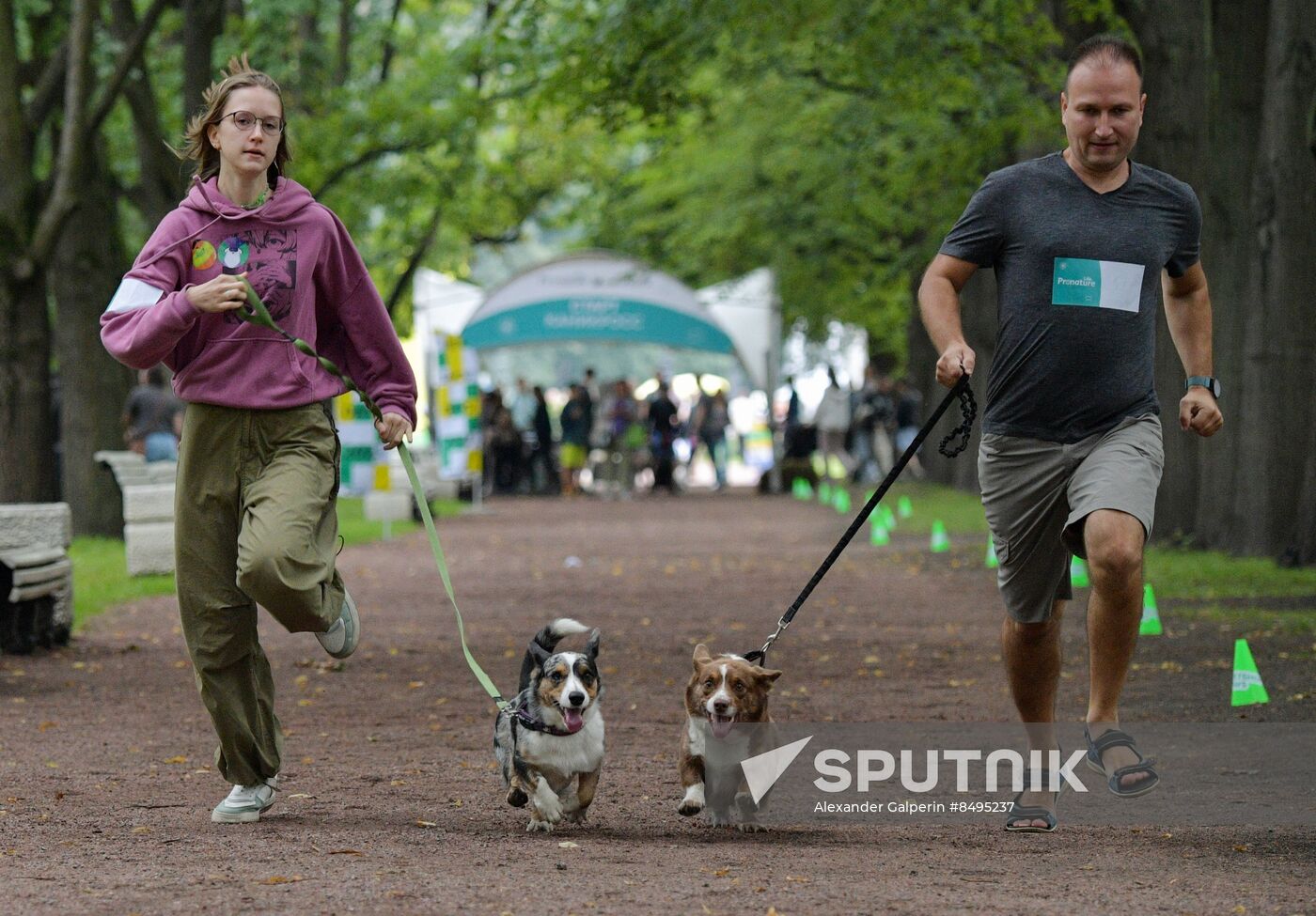 Russia Petshop Days Festival