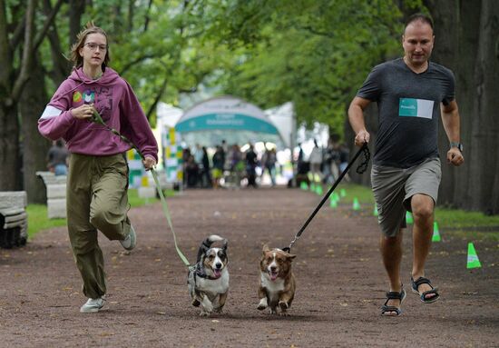 Russia Petshop Days Festival