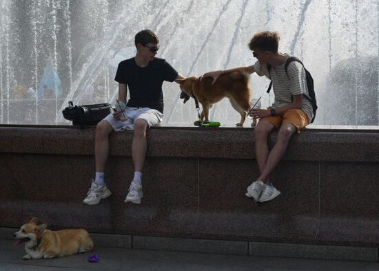 Russia Petshop Days Festival