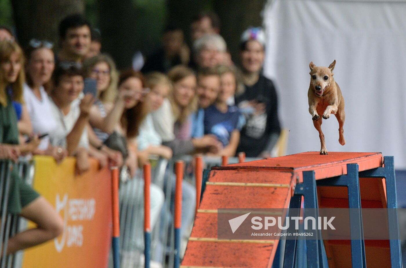 Russia Petshop Days Festival