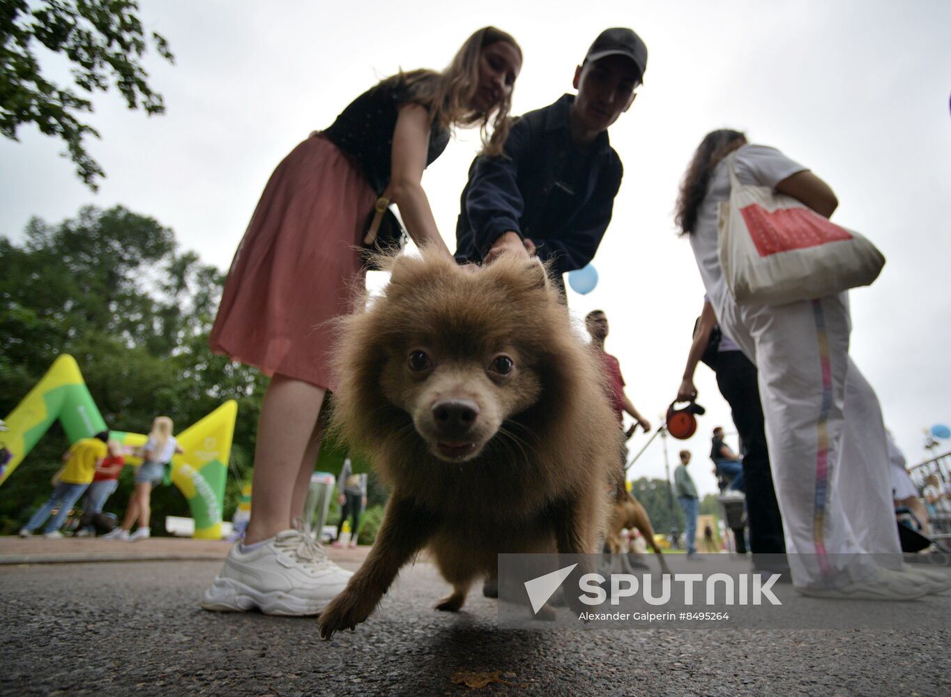 Russia Petshop Days Festival