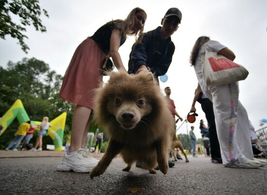 Russia Petshop Days Festival