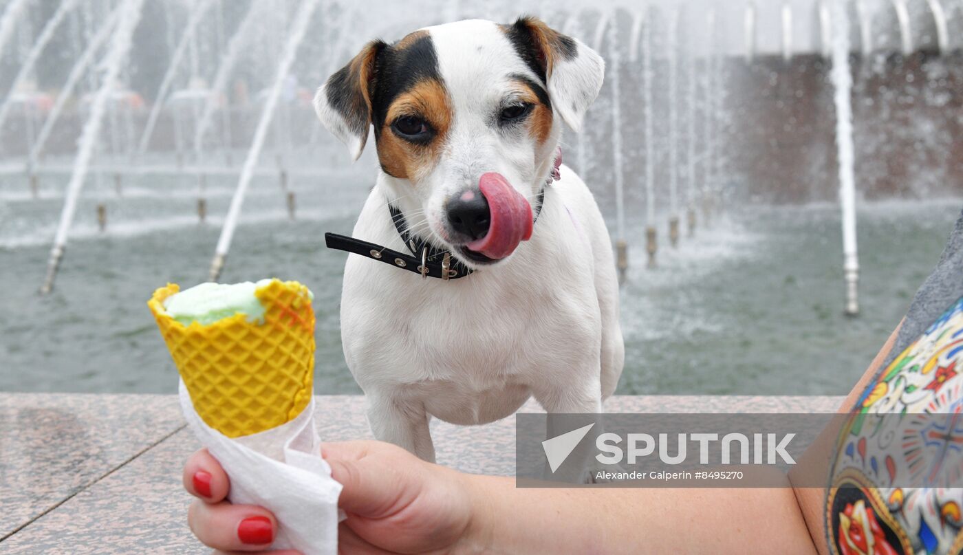 Russia Petshop Days Festival