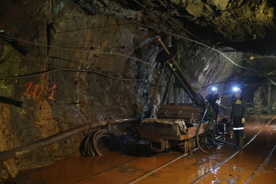 Russia Iron Ore Mining