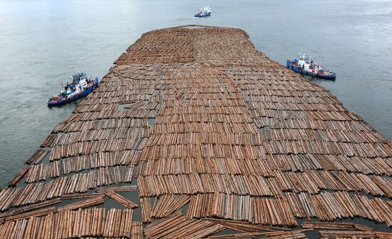 Russia Siberia Timber Rafting