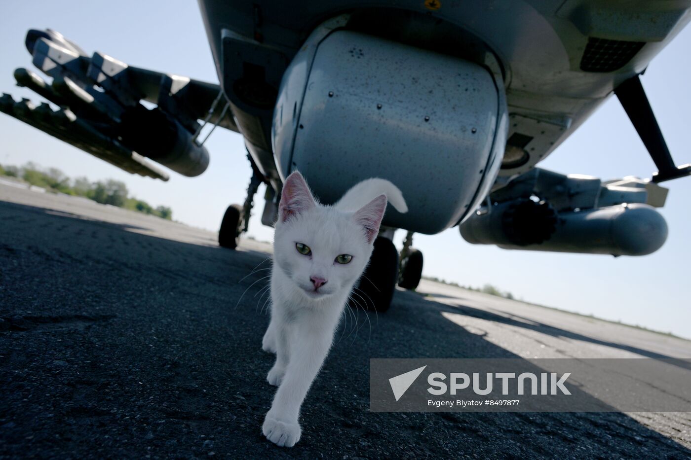 Russia Ukraine Military Operation Aircrews
