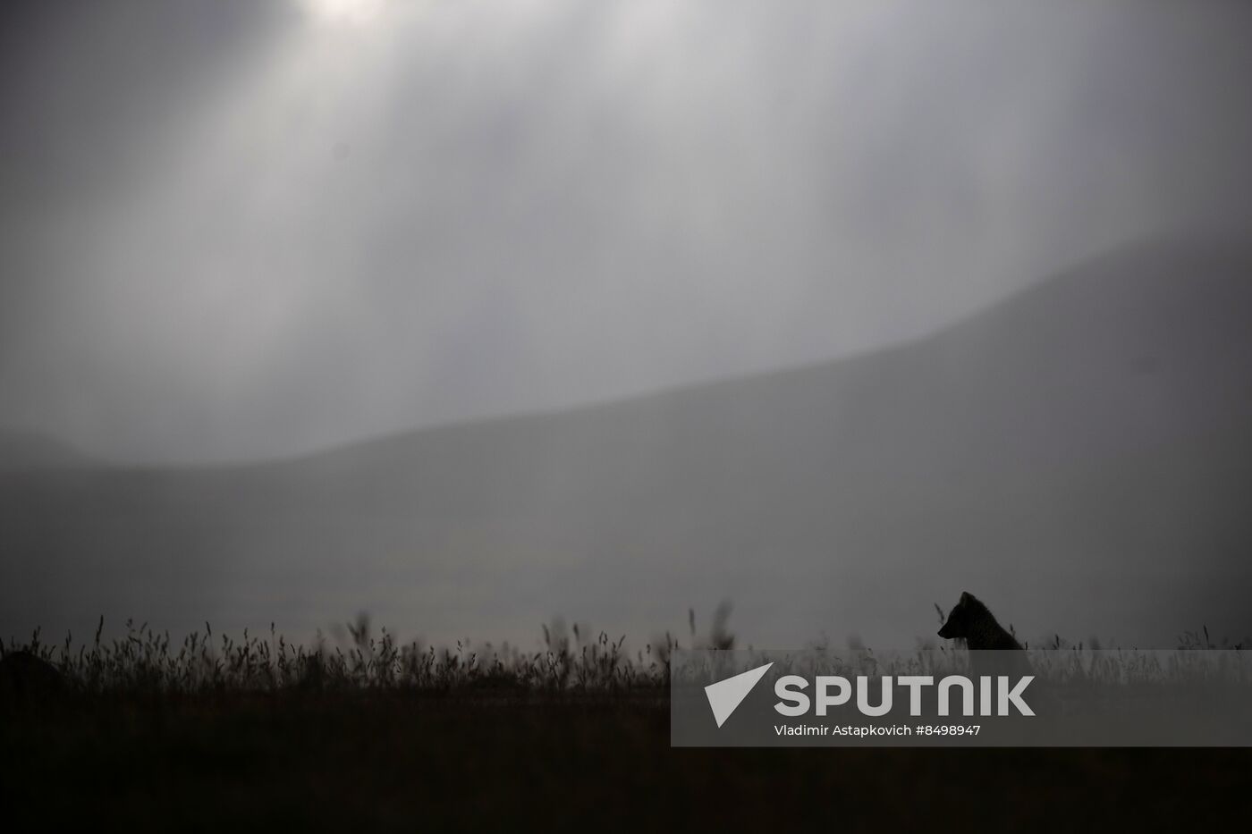 Norway Svalbard Archipelago Barentsburg