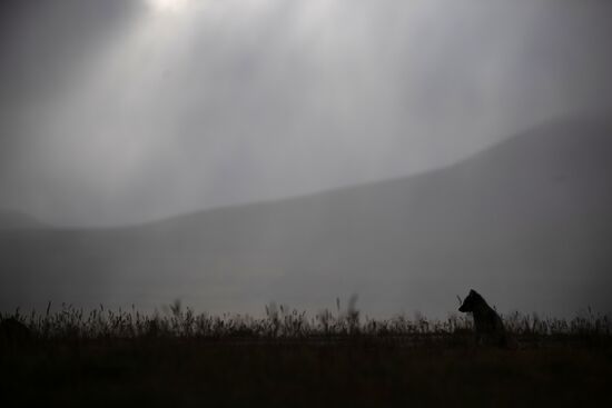 Norway Svalbard Archipelago Barentsburg