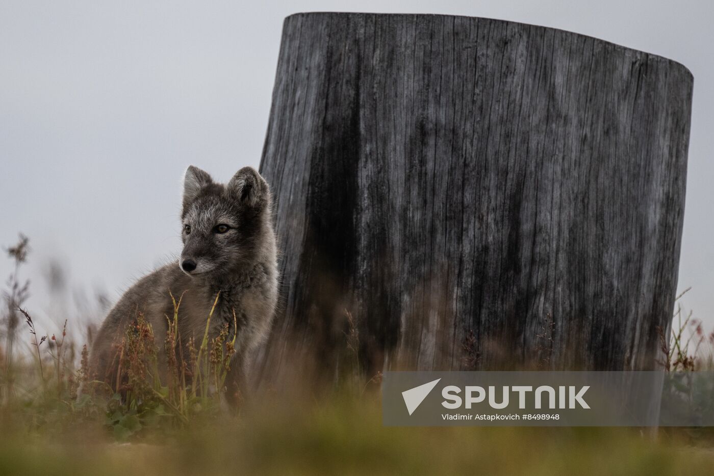 Norway Svalbard Archipelago Barentsburg