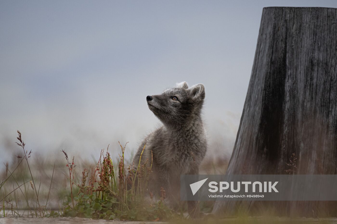 Norway Svalbard Archipelago Barentsburg