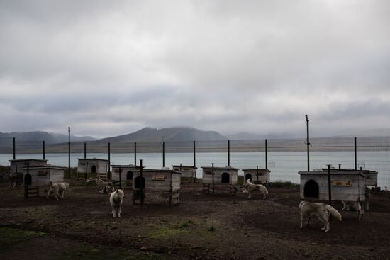 Norway Svalbard Archipelago Barentsburg