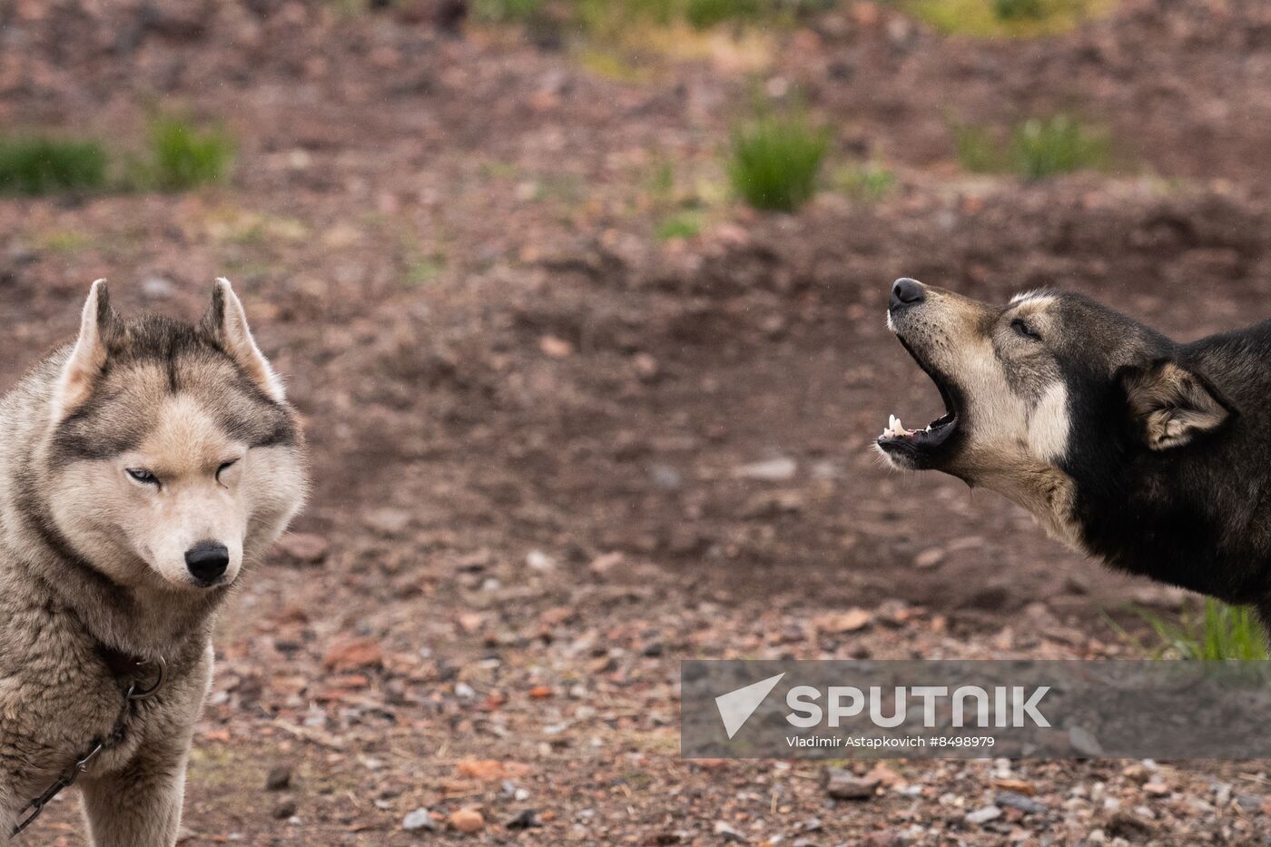 Norway Svalbard Archipelago Barentsburg