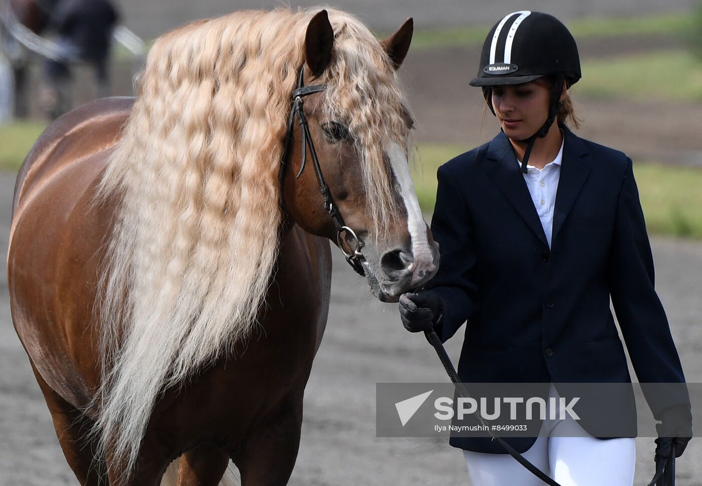 Russia Horse Show