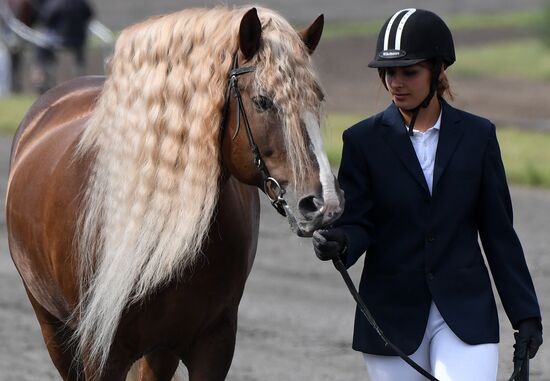 Russia Horse Show