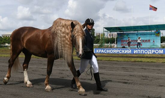 Russia Horse Show