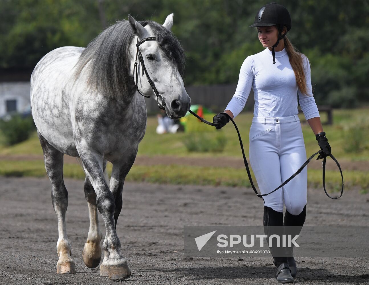 Russia Horse Show