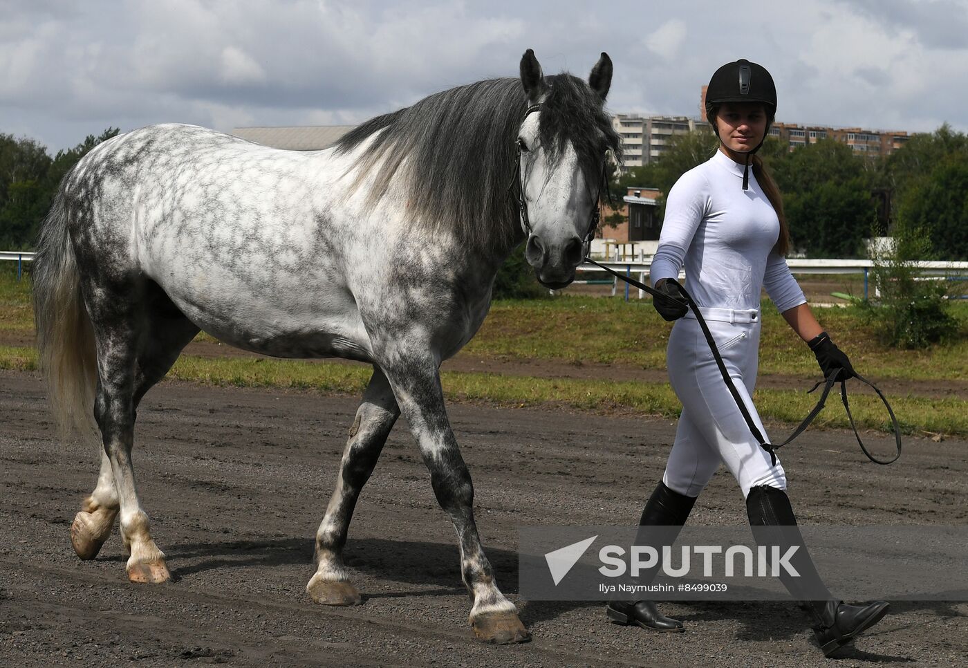 Russia Horse Show