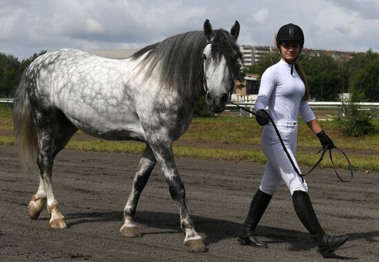 Russia Horse Show