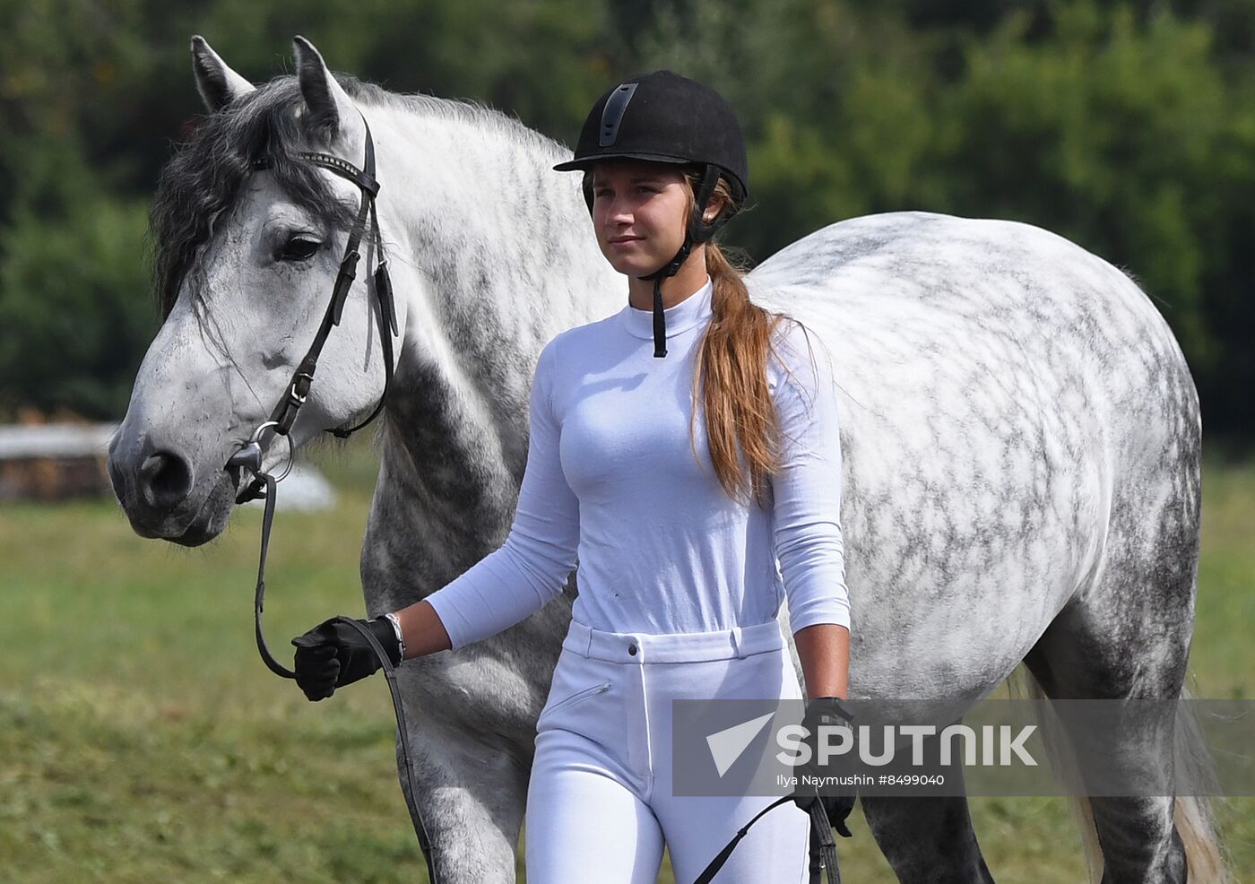 Russia Horse Show