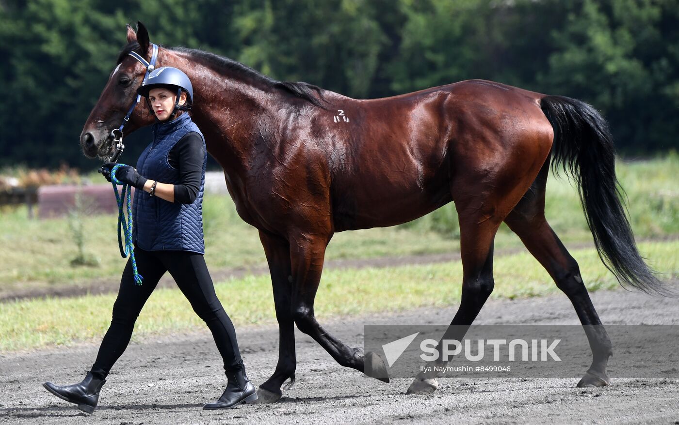 Russia Horse Show