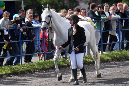 Russia Horse Show