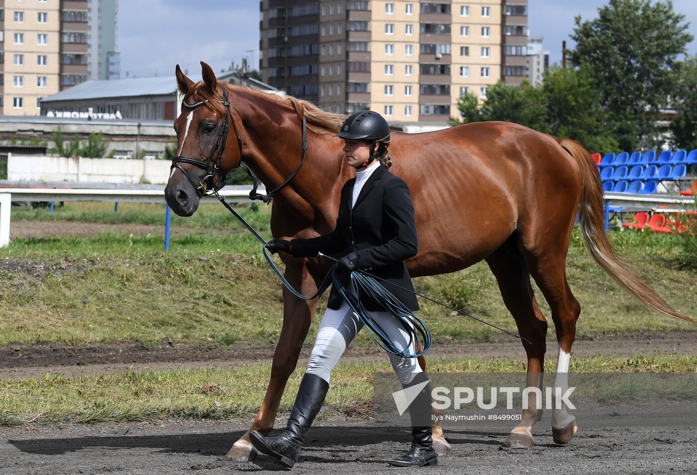 Russia Horse Show