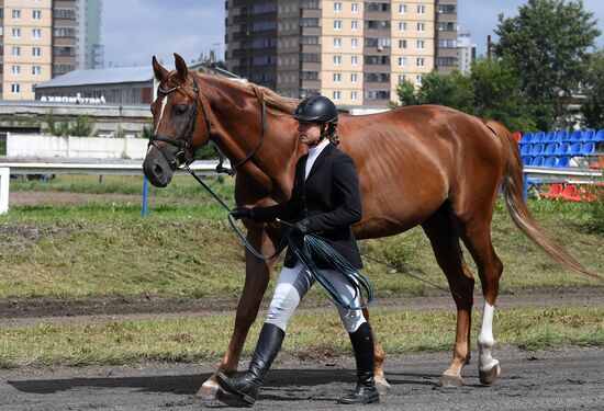 Russia Horse Show