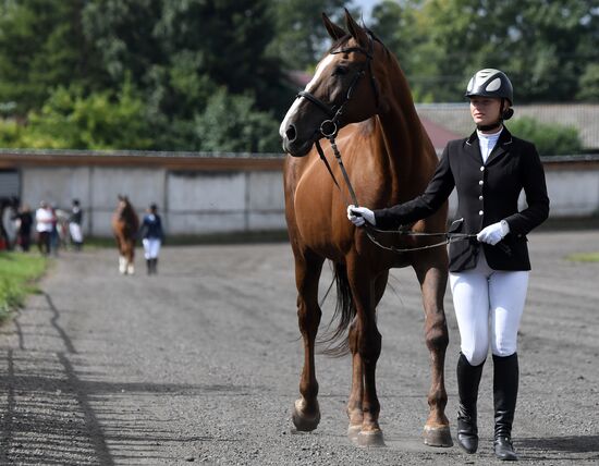 Russia Horse Show