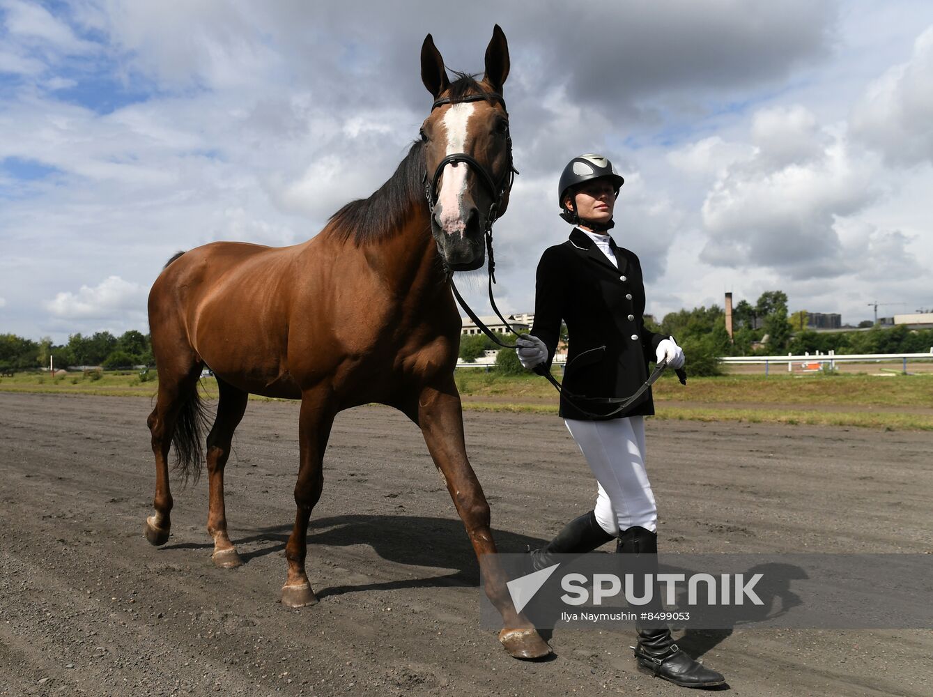 Russia Horse Show