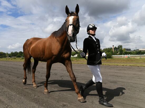 Russia Horse Show