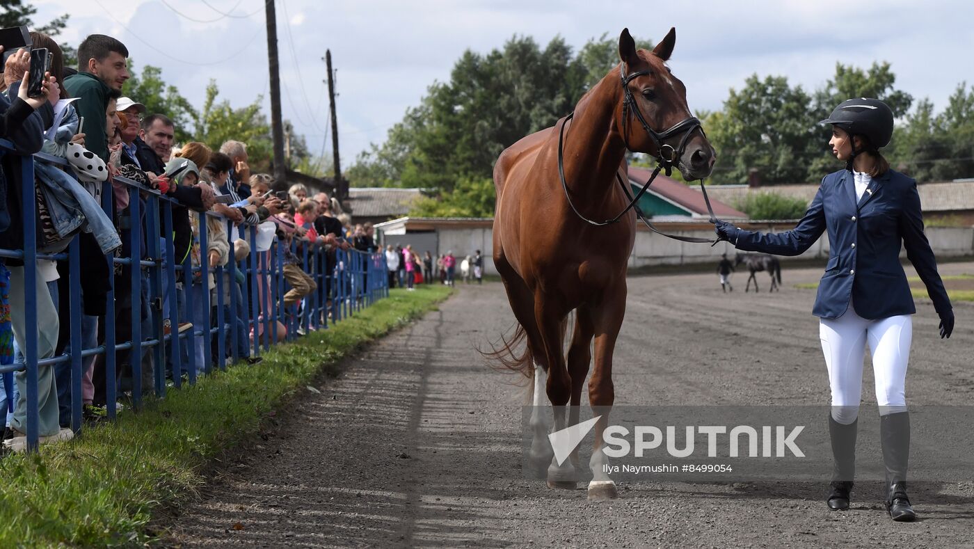 Russia Horse Show