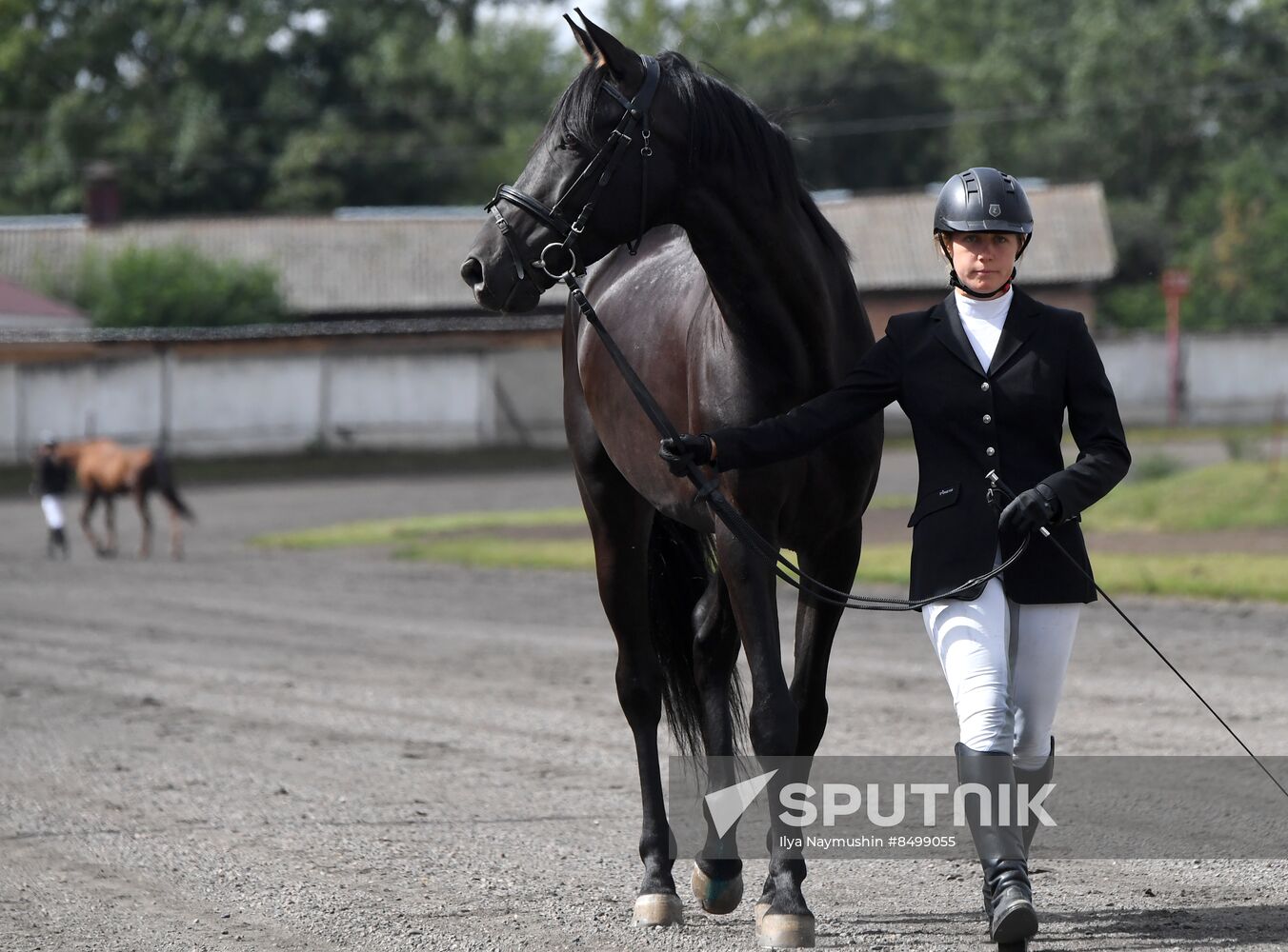 Russia Horse Show