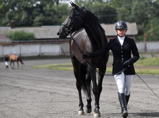 Russia Horse Show