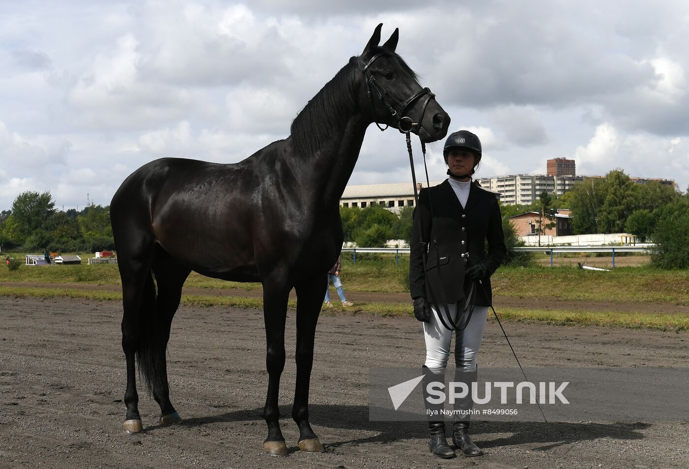 Russia Horse Show