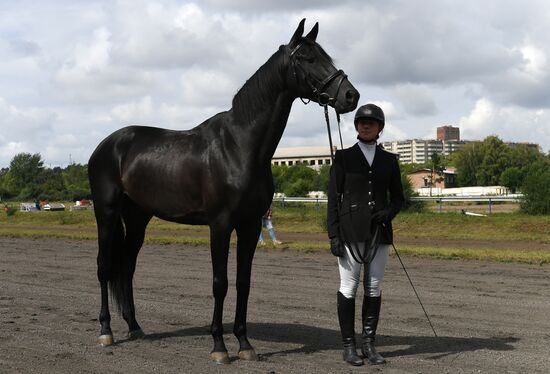 Russia Horse Show