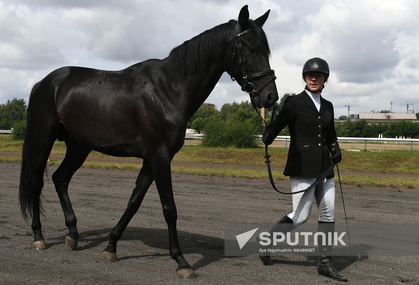 Russia Horse Show