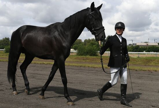 Russia Horse Show