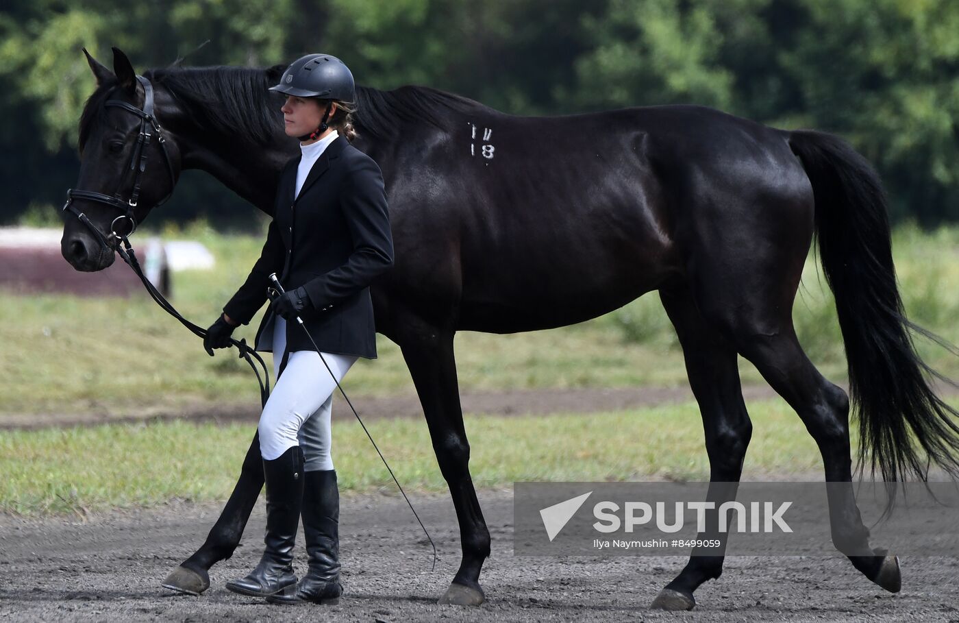 Russia Horse Show