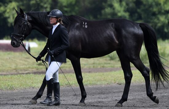 Russia Horse Show