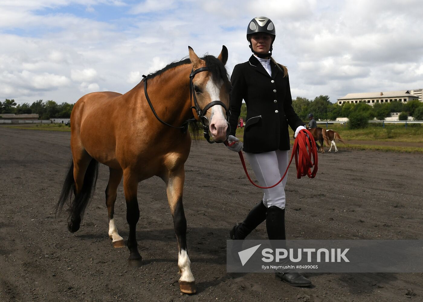 Russia Horse Show