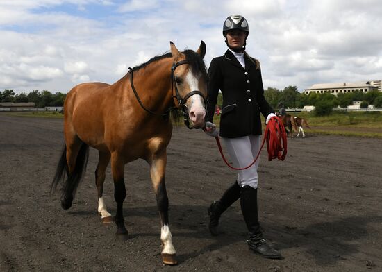 Russia Horse Show