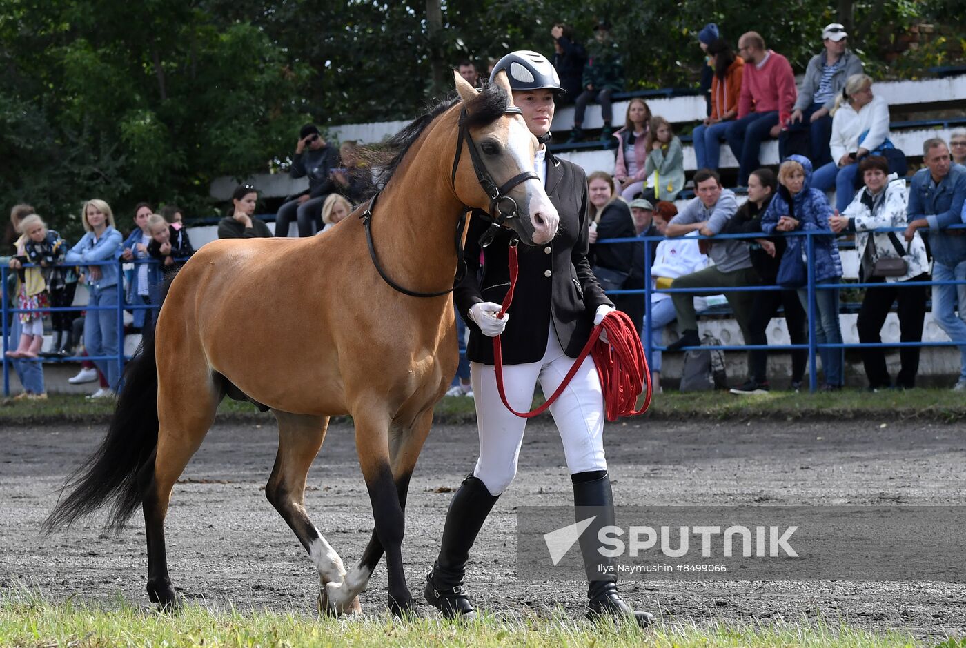 Russia Horse Show