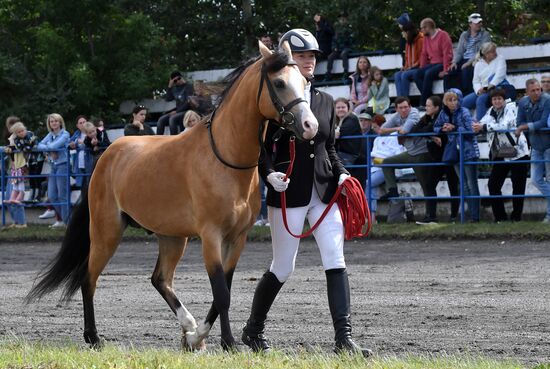 Russia Horse Show