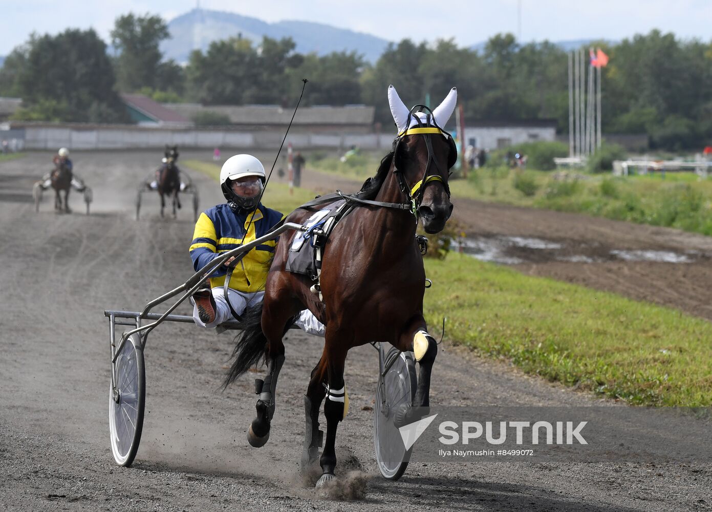 Russia Horse Show