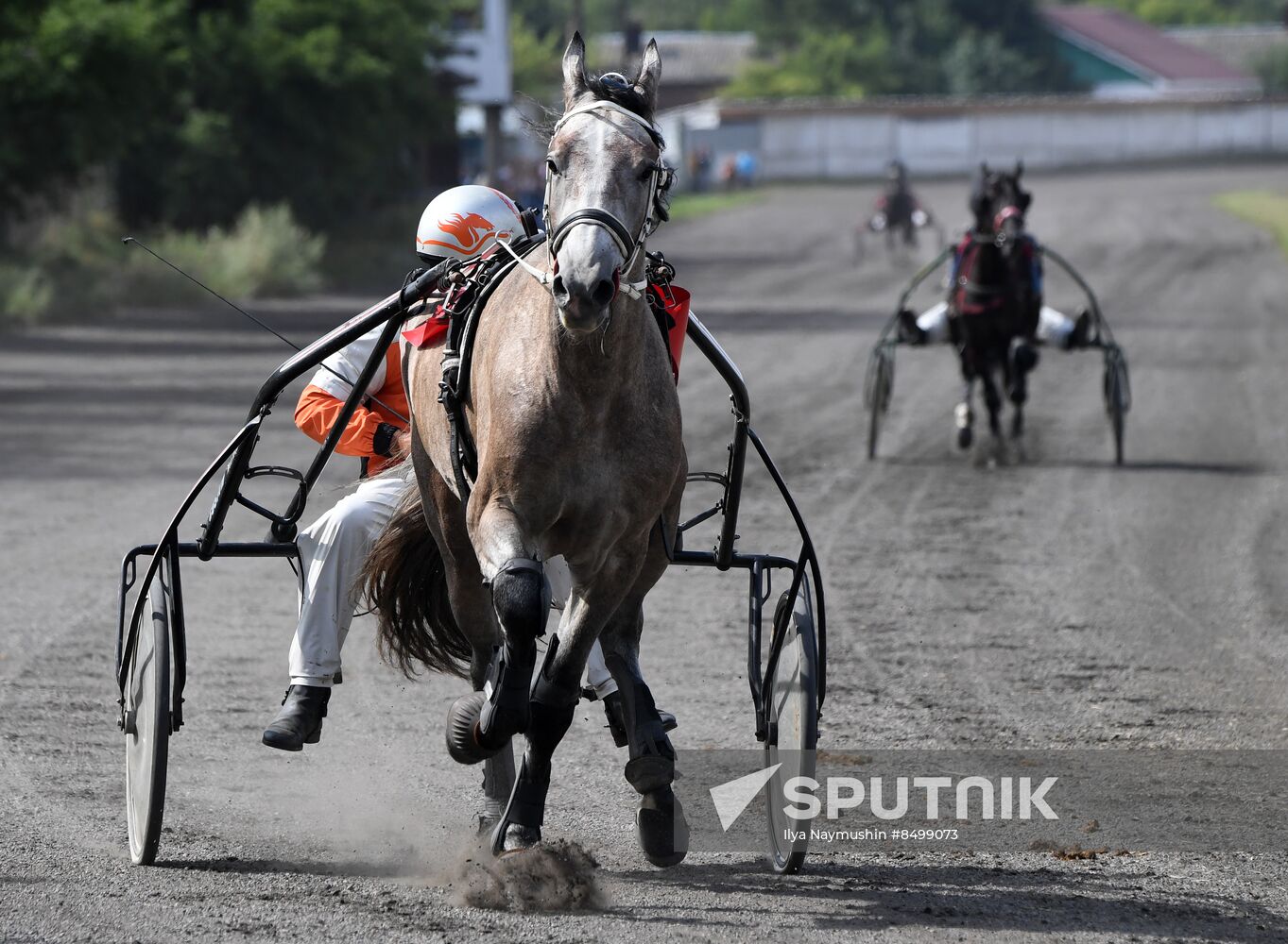 Russia Horse Show