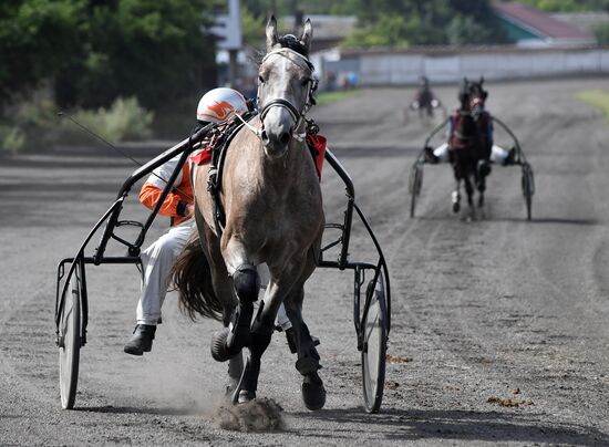 Russia Horse Show