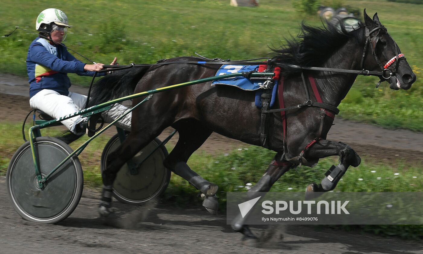 Russia Horse Show