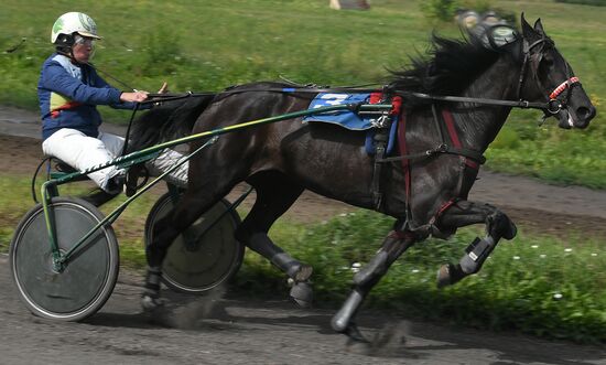 Russia Horse Show