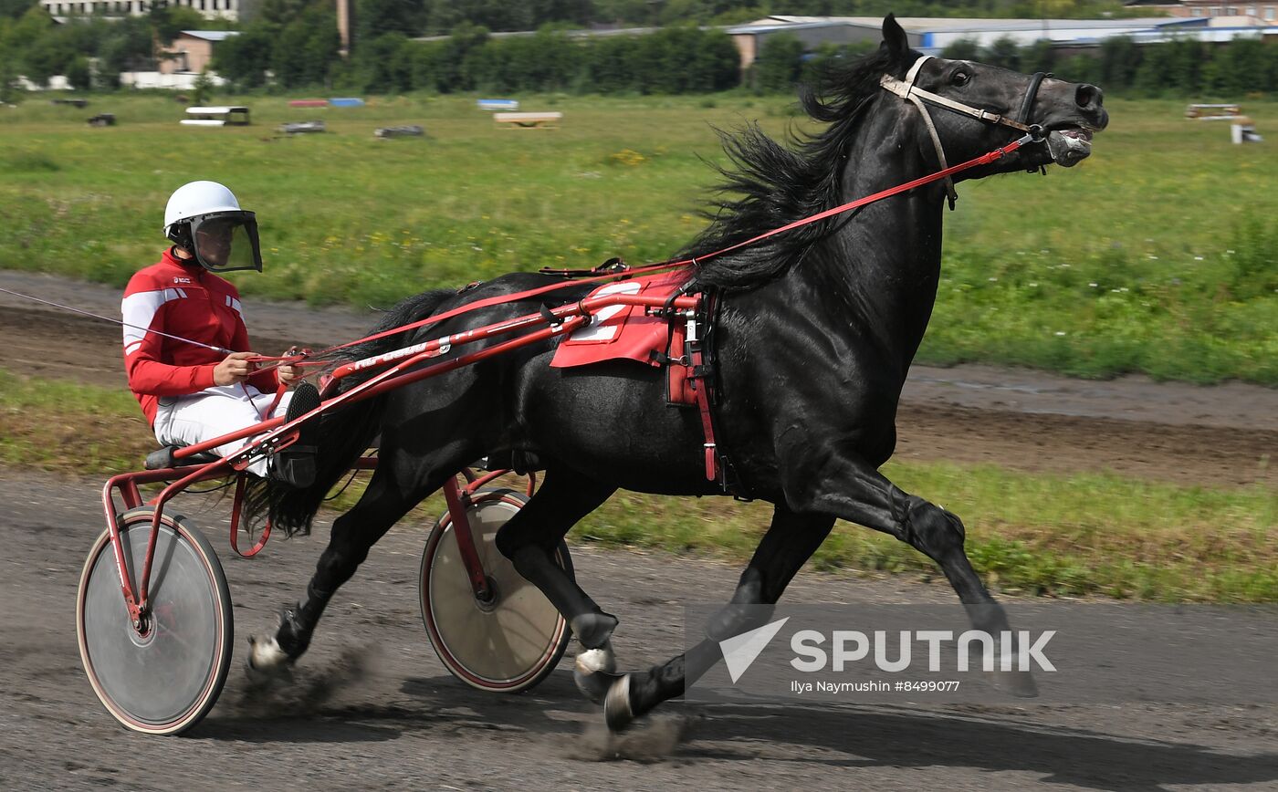 Russia Horse Show