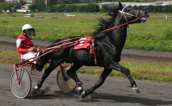 Russia Horse Show